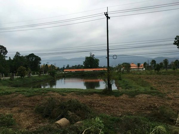 ขายที่ดินด่วนๆ ลดราคาอีกแล้ว 15 ไร่ ต.ไคสี เมืองบึงกาฬ อยู่ติด ถ.ชยางกูร และใกล้แหล่งท่องเที่ยว ติดทางเข้าวัดอาฮงศิลาวาส โทร 0632897879